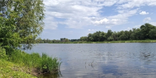 В саратовском заказнике «Центральный» увеличилась популяция косули и оленя В саратовском заказнике «Центральный» увеличилась популяция косули и оленя