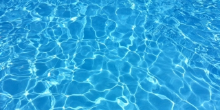 Саратовская пловчиха стала чемпионкой мира Саратовская пловчиха стала чемпионкой мира