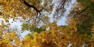 Саратовцам еще на три недели ограничили доступ к лесам из-за риска пожаров Саратовцам еще на три недели ограничили доступ к лесам из-за риска пожаров