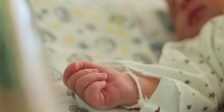 В Саратовской области 283 молодые мамы получают выплату на второго ребенка В Саратовской области 283 молодые мамы получают выплату на второго ребенка