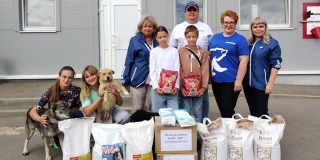 В Саратове активисты «Единой России» передали 80 кг корма в приют для животных В Саратове активисты «Единой России» передали 80 кг корма в приют для животных