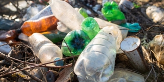 В Заводском районе с фирмы требуют 1 млрд из-за незаконной свалки мусора В Заводском районе с фирмы требуют 1 млрд из-за незаконной свалки мусора