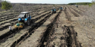 В Саратовской области будут повсеместно сажать белую акацию В Саратовской области будут повсеместно сажать белую акацию