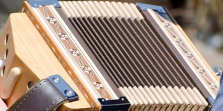 Жительницу Ивантеевки наказали за избиение мужчины гармонью Жительницу Ивантеевки наказали за избиение мужчины гармонью