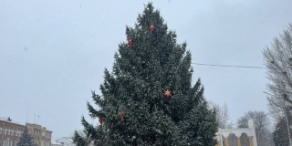 На центральной площади Энгельса установили большую живую елку На центральной площади Энгельса установили большую живую елку