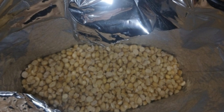 В Озинках не пропустили 3,7 тонн макадамии из Казахстана В Озинках не пропустили 3,7 тонн макадамии из Казахстана