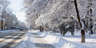 В Саратовской области неделя начнется почти без осадков и с температурой до -9 В Саратовской области неделя начнется почти без осадков и с температурой до -9