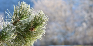 В Саратовской области днем резко похолодает до -15 градусов В Саратовской области днем резко похолодает до -15 градусов