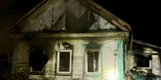 В Татищеве на пожаре погибли кошки, попугай и шиншилла В Татищеве на пожаре погибли кошки, попугай и шиншилла