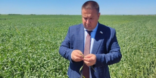 Экс-министр сельского хозяйства Роман Ковальский возглавил федеральную структуру Экс-министр сельского хозяйства Роман Ковальский возглавил федеральную структуру