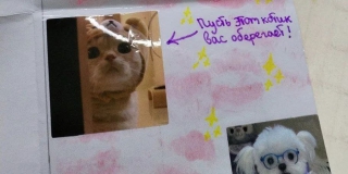 Боец СВО целый год носил с собой письмо с пожеланиями от ученицы из Лысых Гор Боец СВО целый год носил с собой письмо с пожеланиями от ученицы из Лысых Гор