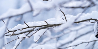 В Саратовской области после снежного циклона «Валли» придут морозы до -21 В Саратовской области после снежного циклона «Валли» придут морозы до -21