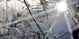Весна начинается. В Саратовской области прогнозируют потепление и снег с дождем Весна начинается. В Саратовской области прогнозируют потепление и снег с дождем