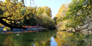 Аукцион по благоустройству горпарка Саратова дополнили укреплением берега пруда Аукцион по благоустройству горпарка Саратова дополнили укреплением берега пруда