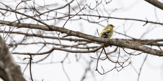 В Саратове прогнозируют выходные с температурой до +9 и без осадков В Саратове прогнозируют выходные с температурой до +9 и без осадков