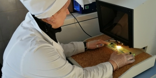 С Крытого рынка и Театральной площади изъяли 300 кг гнилых овощей и фруктов С Крытого рынка и Театральной площади изъяли 300 кг гнилых овощей и фруктов