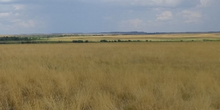 Два памятника археологии в Саратовской области получили статус федерального ОКН Два памятника археологии в Саратовской области получили статус федерального ОКН