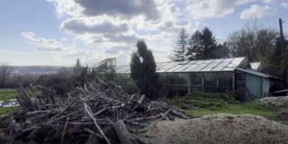 В Саратове до августа реконструируют вторую очередь Ботанического сада СГУ В Саратове до августа реконструируют вторую очередь Ботанического сада СГУ