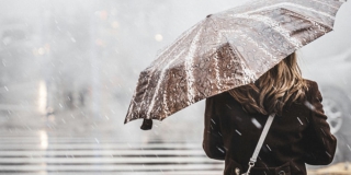 В Саратовской области ожидаются дожди и усиление ветра до 22 м/с В Саратовской области ожидаются дожди и усиление ветра до 22 м/с