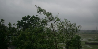 В Саратовской области прогнозируют штормовой ветер: порывы достигнут 26 м/с В Саратовской области прогнозируют штормовой ветер: порывы достигнут 26 м/с