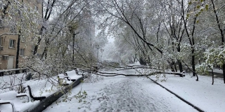 Снежный шторм из Москвы до Саратова не дойдет, но холод и дожди прогнозируют Снежный шторм из Москвы до Саратова не дойдет, но холод и дожди прогнозируют