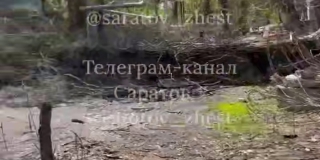 На Разина с декабря не могут убрать упавшее во время метели дерево На Разина с декабря не могут убрать упавшее во время метели дерево