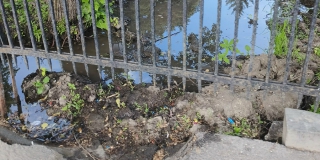 На Радищева из-за «болота» в Липках разрушается тротуар На Радищева из-за «болота» в Липках разрушается тротуар