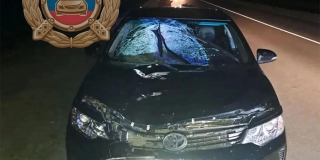 Под Энгельсом пешеход погиб после наезда «Камри» Под Энгельсом пешеход погиб после наезда «Камри»