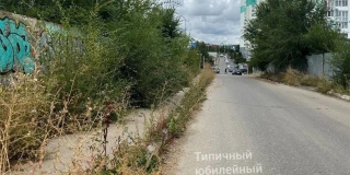 Жители Юбилейного жалуются на заросшую пешеходную дорожку до школы и детсада Жители Юбилейного жалуются на заросшую пешеходную дорожку до школы и детсада