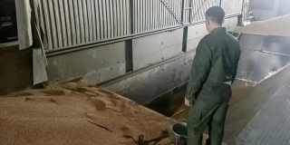 В Аткарске в бункере с зерном погиб рабочий. Возбуждено дело В Аткарске в бункере с зерном погиб рабочий. Возбуждено дело