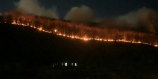 Лесной пожар в окрестностях села Лох локализовали и ликвидируют Лесной пожар в окрестностях села Лох локализовали и ликвидируют