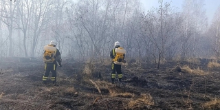 Пожарную обстановку у Лоха контролируют с помощью спутников и видеонаблюдения Пожарную обстановку у Лоха контролируют с помощью спутников и видеонаблюдения
