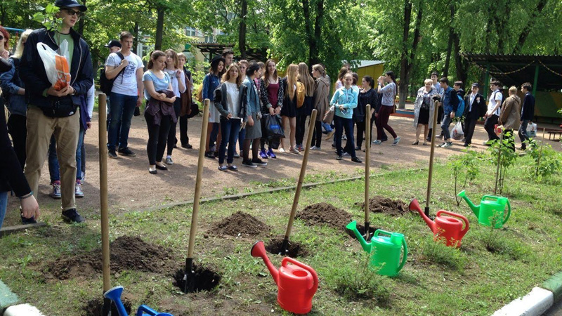 Картинка аллея выпускников доу