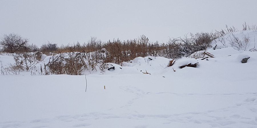 Под энгельсом