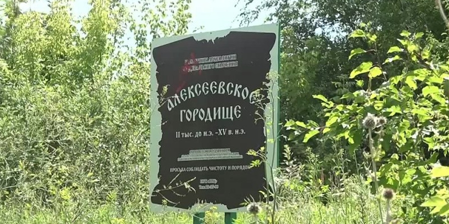 Алексеевское городище картинки