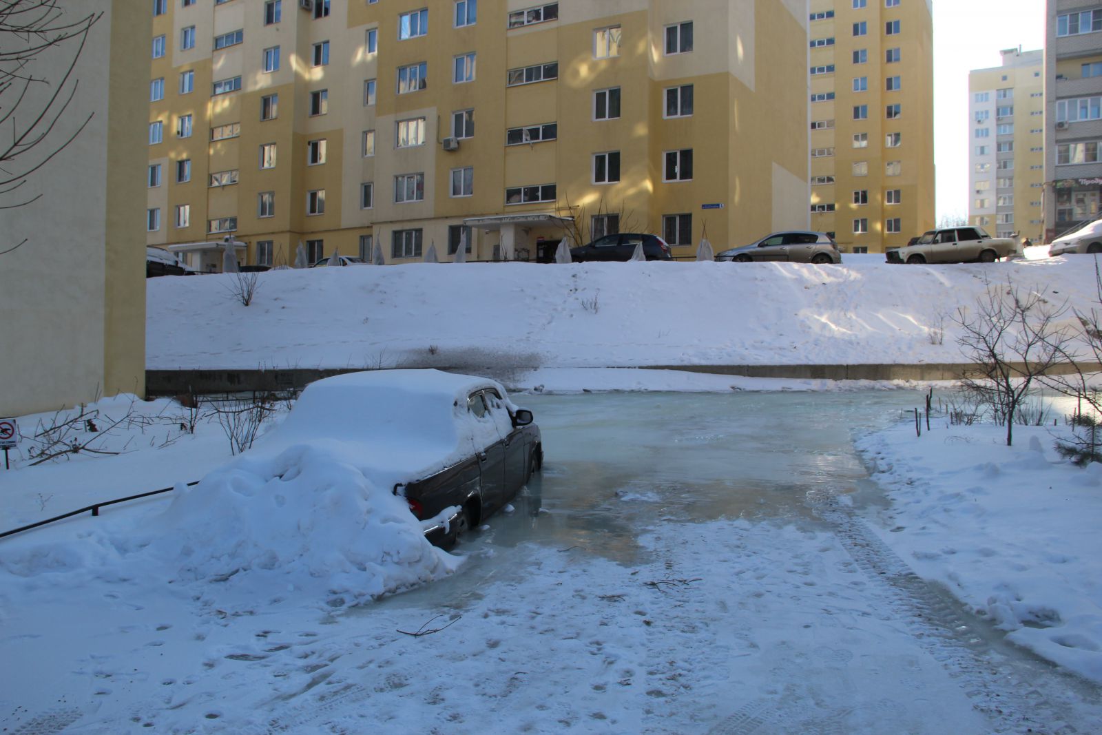 Потоп в Лесной Республике